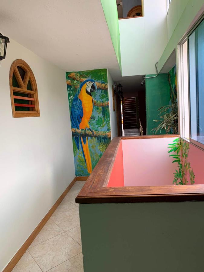 Hotel Las Guacamayas غواتابيه المظهر الخارجي الصورة